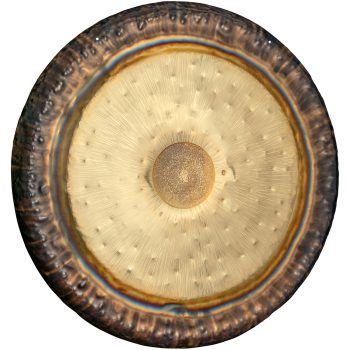 Meinl TT50