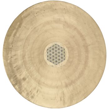 Meinl WGFOL24