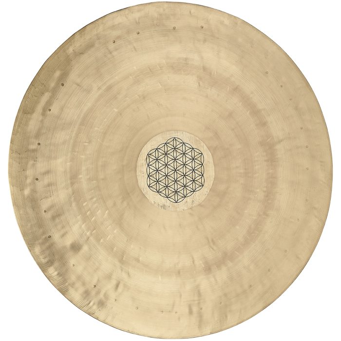 Meinl WGFOL24