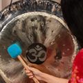 Meinl MGM-M-SP