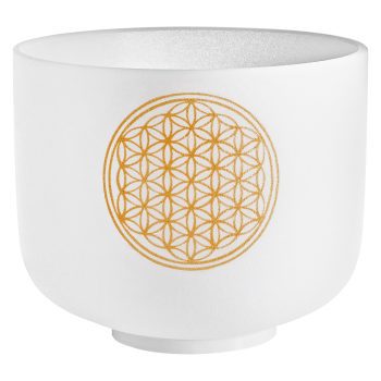 Meinl PCSB8FOL