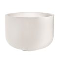 Meinl CSB14G