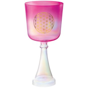 Meinl CSC6FPFOL