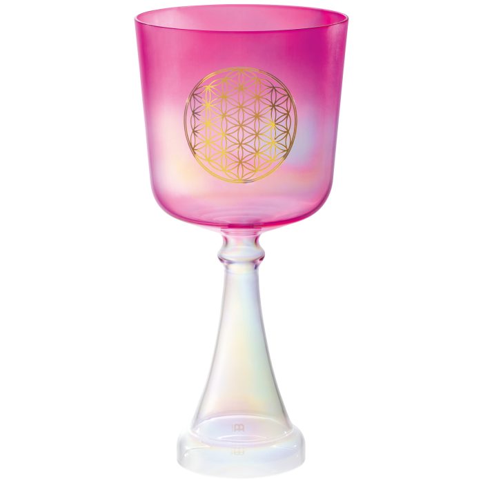 Meinl CSC6FPFOL