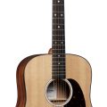 Martin D-10E Sapele