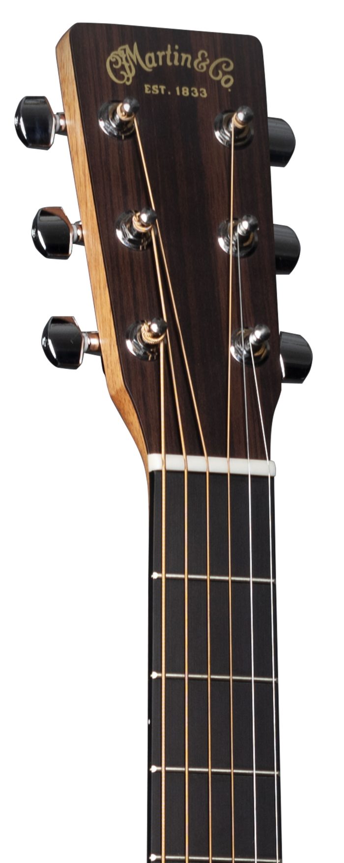 Martin D-10E Sapele