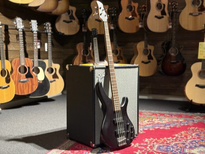Yamaha TRBX504 -2016