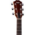 Taylor Academy 20e Walnut Top