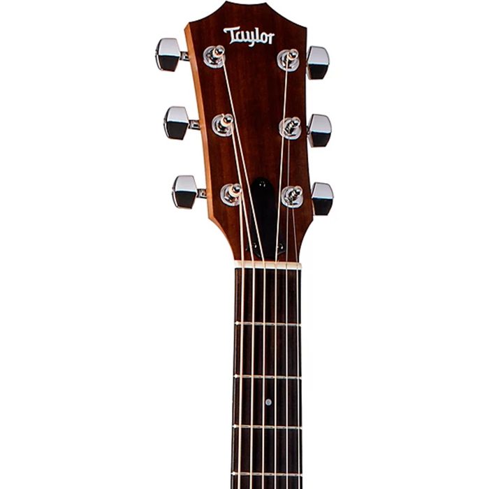 Taylor Academy 20e Walnut Top