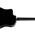 Taylor 250ce-BLK Plus
