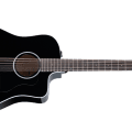 Taylor 250ce-BLK Plus
