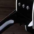 Taylor 250ce-BLK Plus