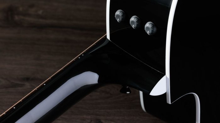 Taylor 250ce-BLK Plus
