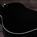 Taylor 250ce-BLK Plus
