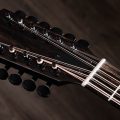 Taylor 250ce-BLK Plus