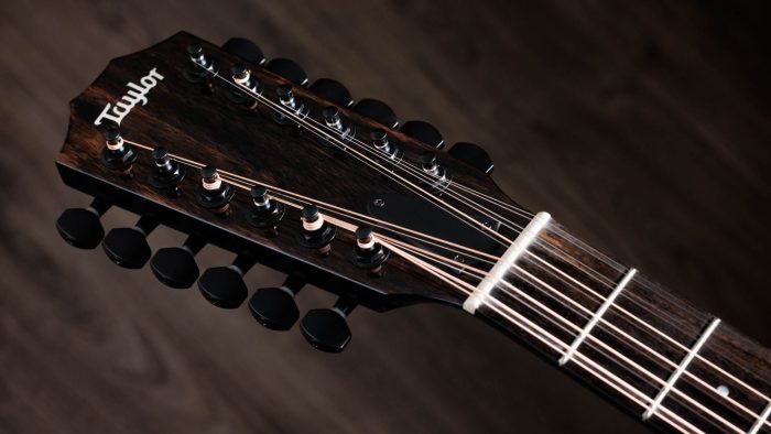 Taylor 250ce-BLK Plus