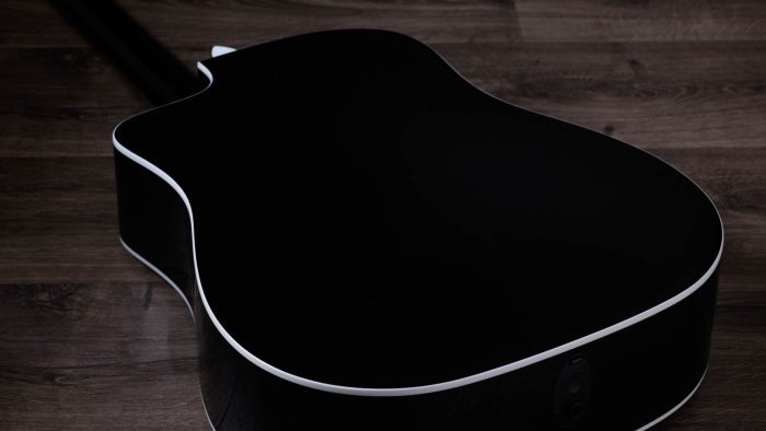 Taylor 250ce-BLK Plus