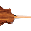 Taylor 254ce Plus