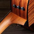 Taylor 254ce Plus