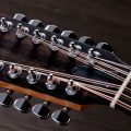 Taylor 254ce Plus