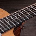 Taylor 254ce Plus