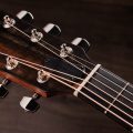 Taylor 314ce Studio Shaded Edgeburst