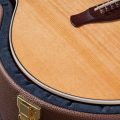Taylor Gold Label 714e