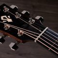 Taylor Gold Label 714e SB Cream PG