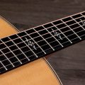 Taylor Gold Label 817e