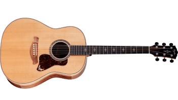 Taylor Gold Label 817e