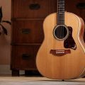 Taylor Gold Label 817e