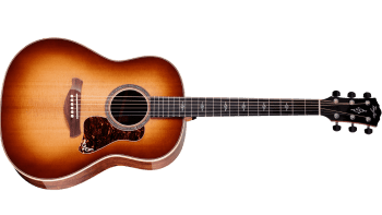 Taylor Gold Label 817e Sunburst