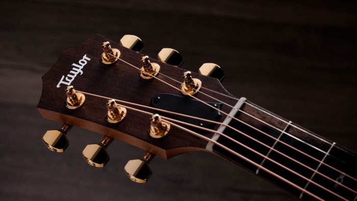 Taylor Sunset Blvd GS Mini-e Rosewood SEB