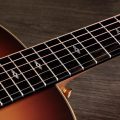 Taylor Sunset Blvd GS Mini-e Rosewood SEB