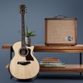 Taylor CIRCA 74,AV150-10,AMP w/STAND,MAHG-EU/SK