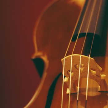 Övriga Stränginstrument