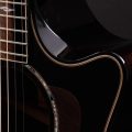 Taylor Builder's Edition 814ce Blacktop