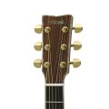 Yamaha LL56AREII