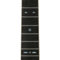 Yamaha LS36AREII