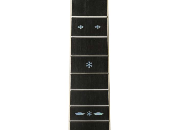 Yamaha LS36AREII