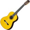 Yamaha GGC22S