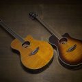 Yamaha APX600FMTBS