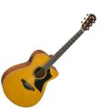Yamaha AC5M ARE Vintage Natural