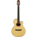Yamaha NTX5NT