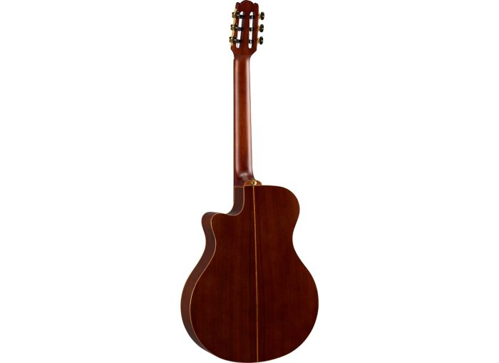Yamaha NTX5NT