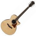 Ibanez AE519-NT
