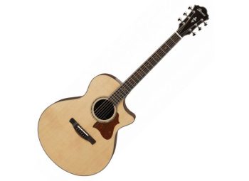 Ibanez AE519-NT