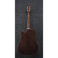 Ibanez AWFS580CE-OPS Fingerstyle