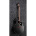 Ibanez AE295-WK