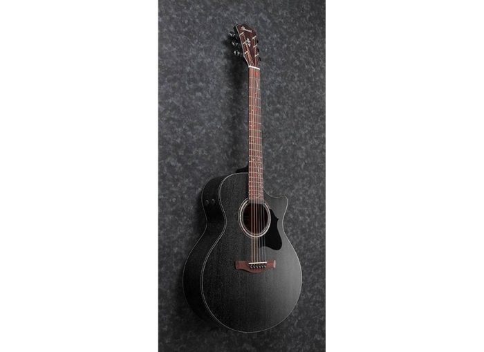 Ibanez AE295-WK
